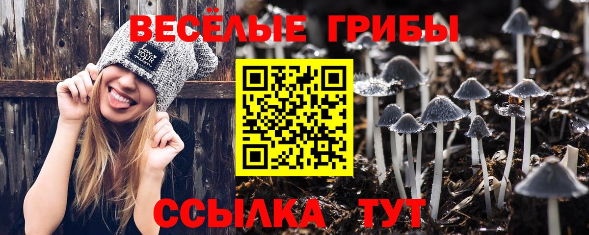 Рязань  купить закладку  Вход с VPN  Галлюциногенные грибы мицелий  Галлюциногенные грибы MAGIC MUSHROOMS 